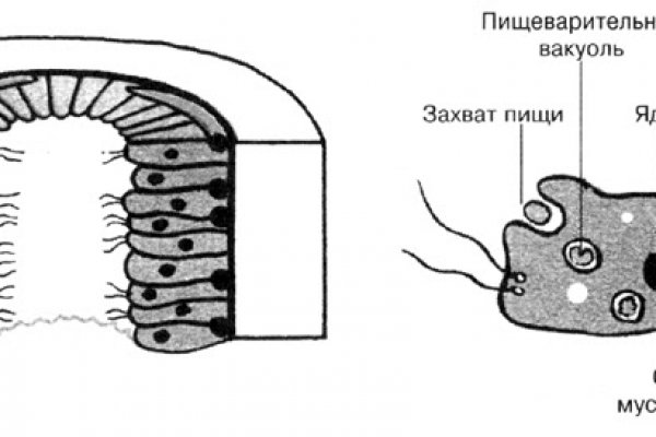 Мега даркнет маркет тор